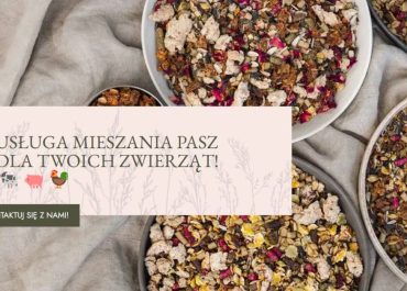 Home 1 Polska mieszalnia pasz, które przygotujemy według twoich indywidualnych potrzeb