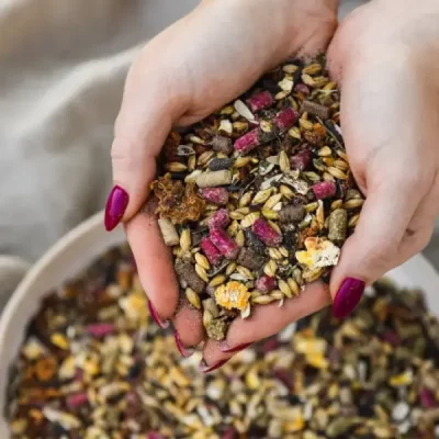 wytwornia pasz dla bydla trzody chlewnej drobiu grassland