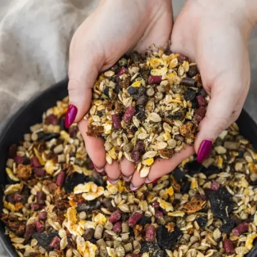 mieszalnia-pasz-dla-bydla-trzody-chlewnej-drobiu-grassland